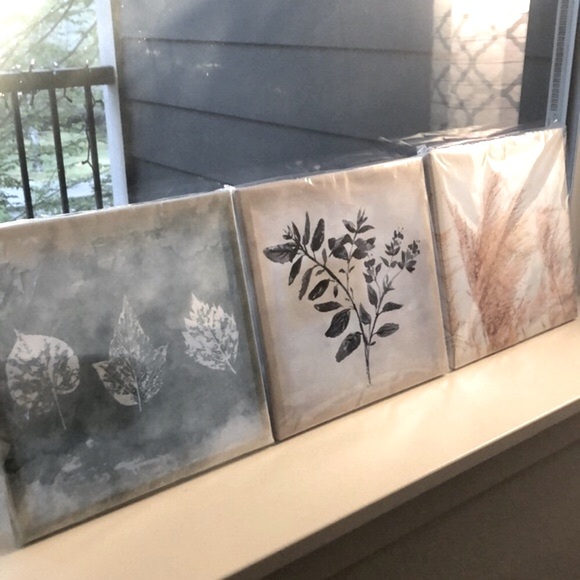 NEW 3-Piece Wall Art Set - Outdoor/Tree/Plant Rustic Photography Theme Pieces - Picture 3 of 11